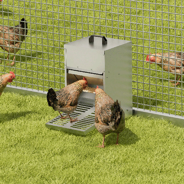Tucker Murphy Pet™ Eadmund Automatic Chicken Chook Feeder Galvanized